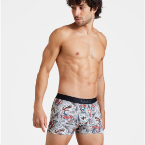 Boxer homme whale