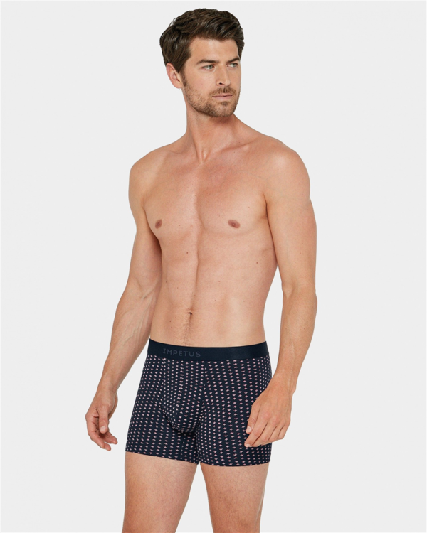 1247k45 - Lupin - Marine