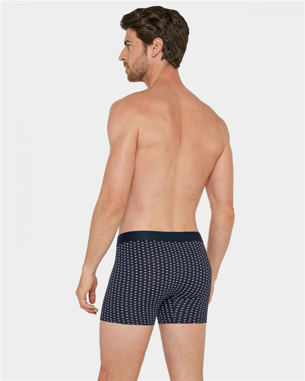1247k45 - Lupin - Marine – Image 2