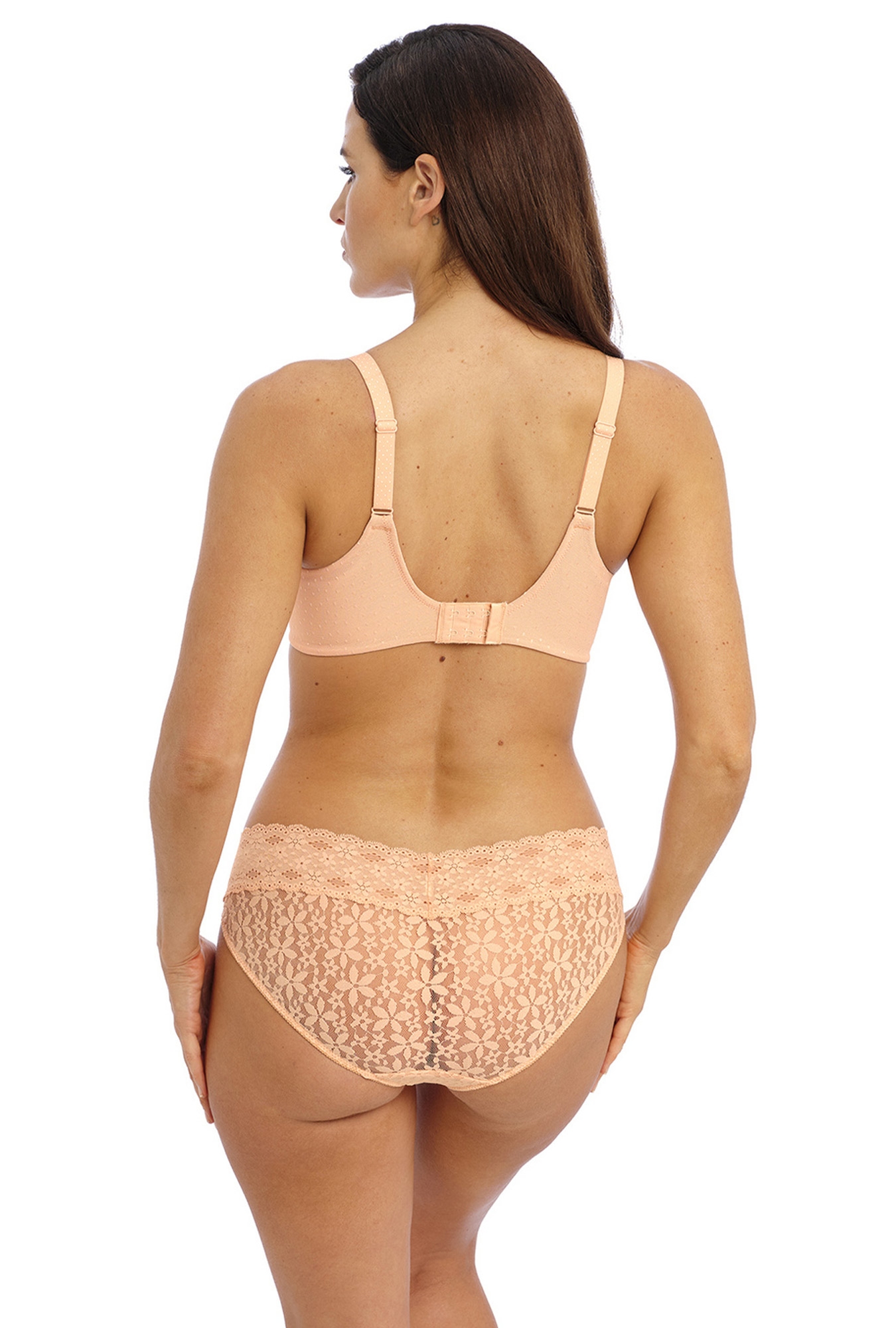 Wa855303 - Back Appeal - Rose Dust – Image 3