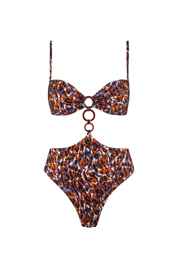 2v68 - Fierce Spirit - Wildcat – Image 5