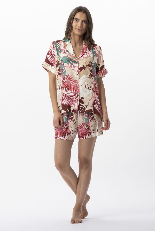 C716aps - Camelia - Multico