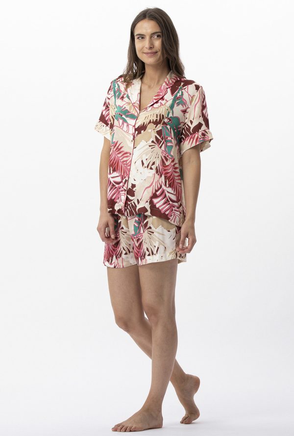 C716aps - Camelia - Multico – Image 2