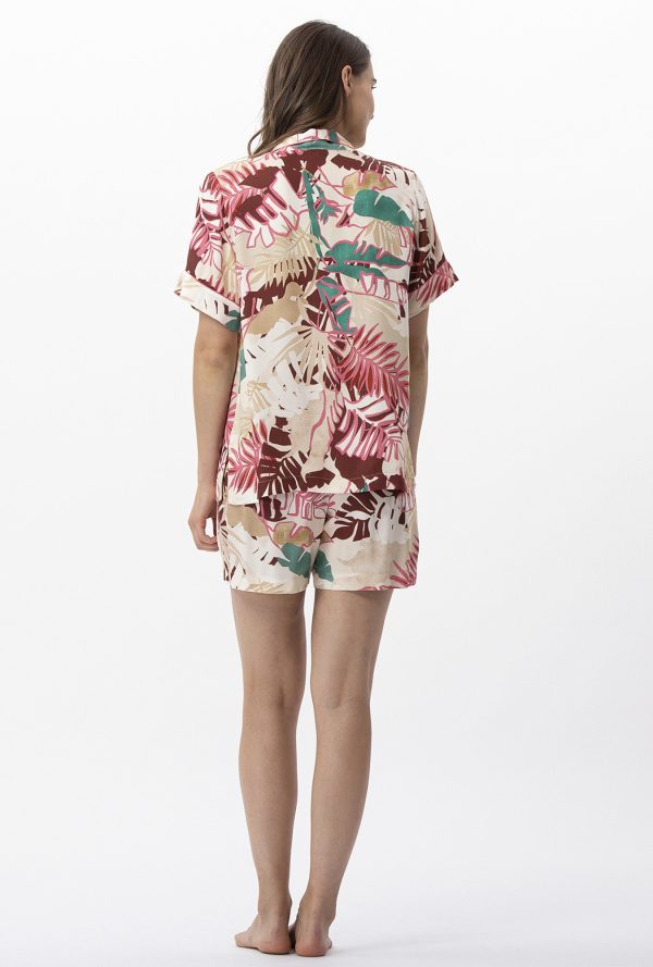 C716aps - Camelia - Multico – Image 3