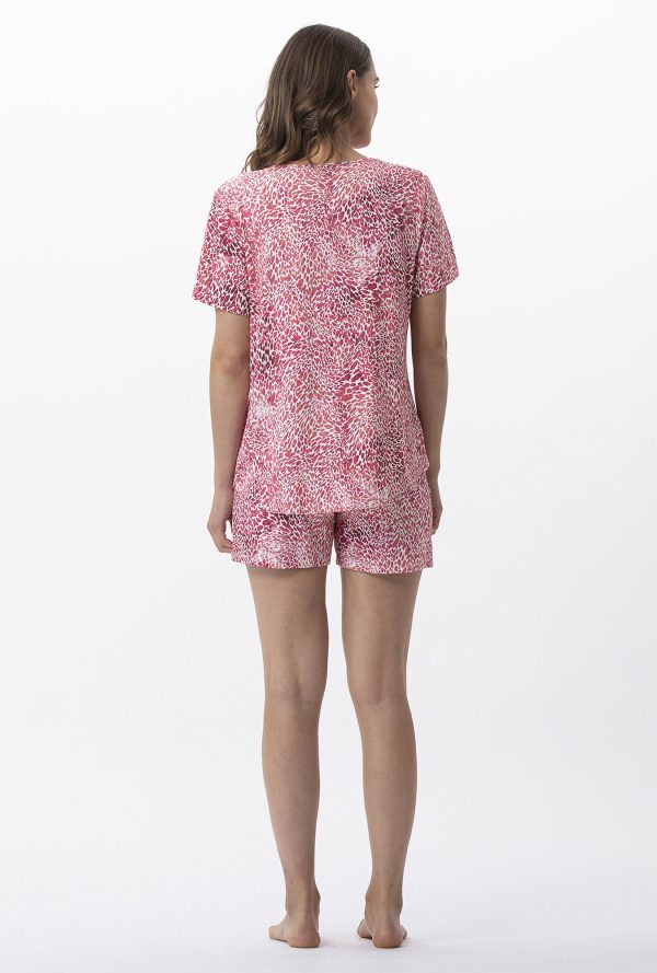 C713dps - Victoria - Fraise – Image 3