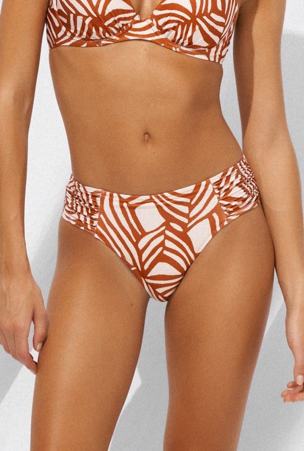 645 - Organic Moderns - 155 Chalk Terra