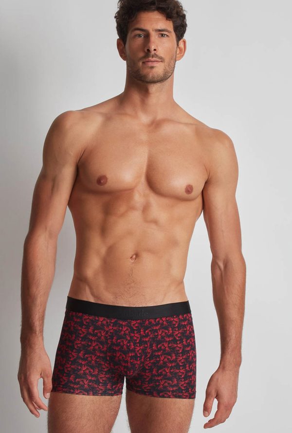 Xb58t - Aubade Homme - Bambou – Image 2