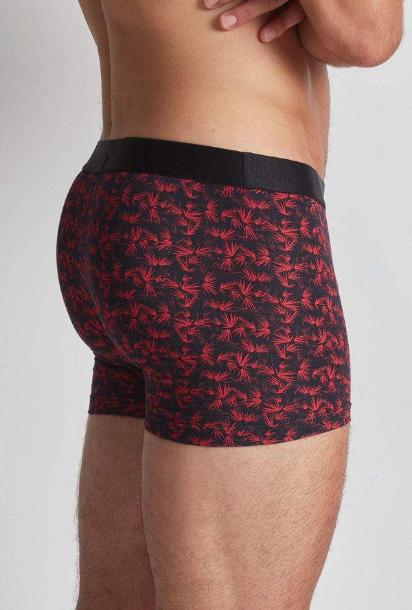 Xb58t - Aubade Homme - Bambou – Image 3