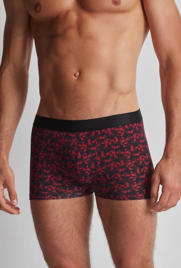 Xb58t - Aubade Homme - Bambou – Image 4