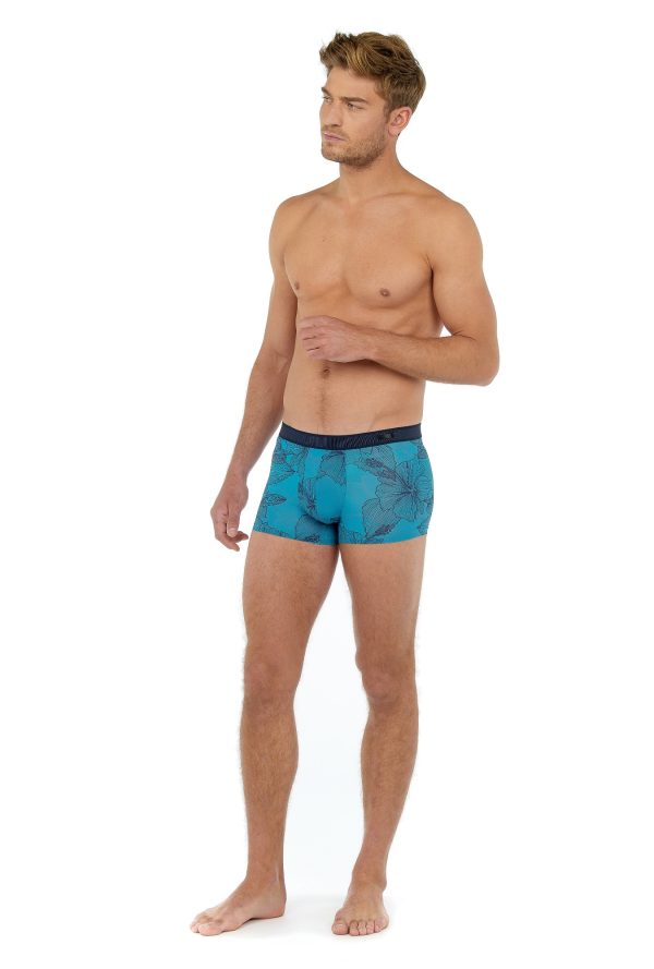402546 - Fano Plume - Bleu – Image 3
