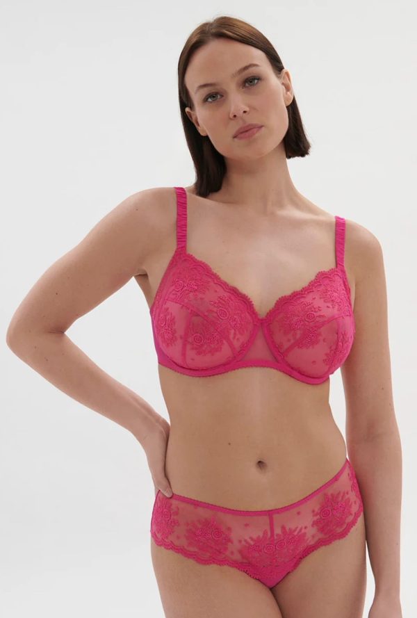 1e2630 - Intrigue - Rose Disco – Image 6
