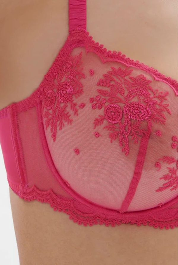 1e2330 - Intrigue - Rose Disco – Image 6