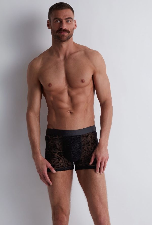 Xb78s - Aubade Homme - Black Python