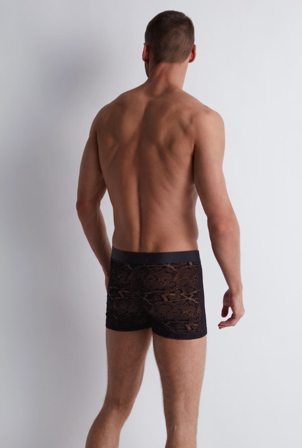 Xb78s - Aubade Homme - Black Python – Image 3