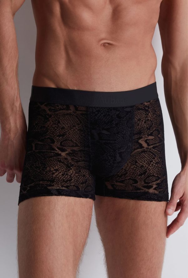 Xb78s - Aubade Homme - Black Python – Image 9
