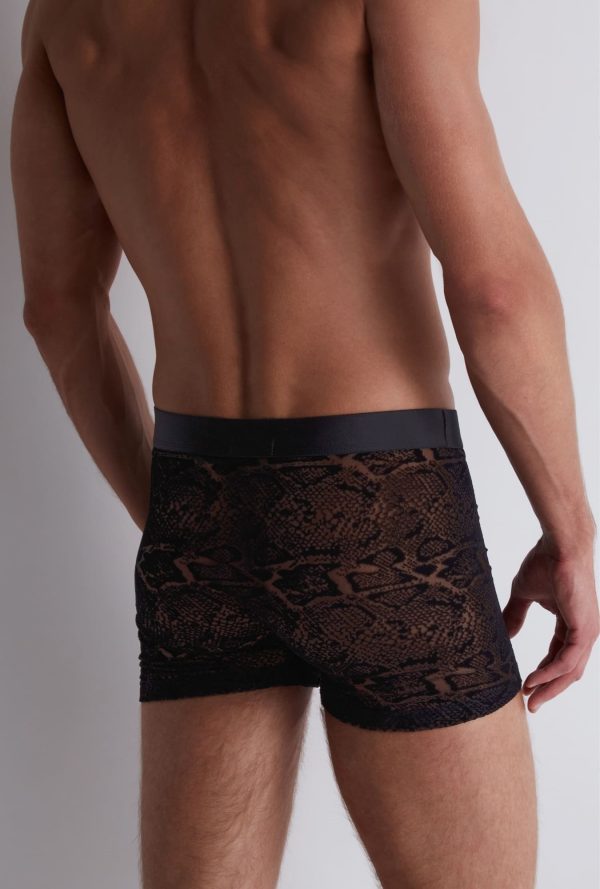 Xb78s - Aubade Homme - Black Python – Image 10