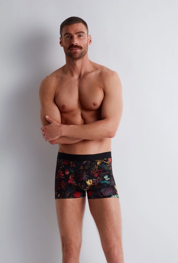 Xb78t - Aubade Homme - Herbarium