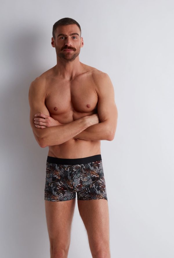 Xb78t - Aubade Homme - Owls – Image 2