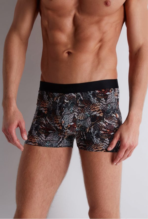 Xb78t - Aubade Homme - Owls – Image 5