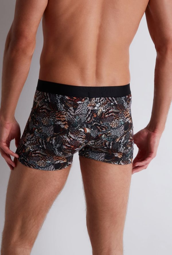 Xb78t - Aubade Homme - Owls – Image 6