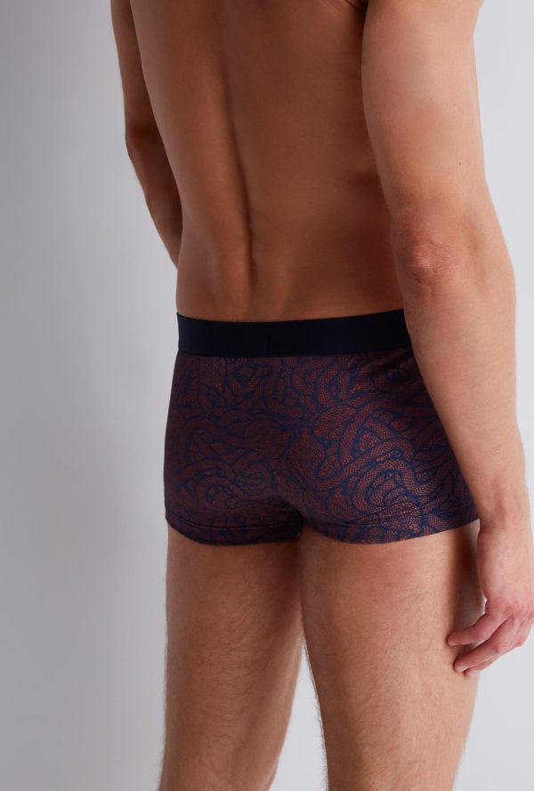 Xb79t - Aubade Homme - Cobra – Image 5
