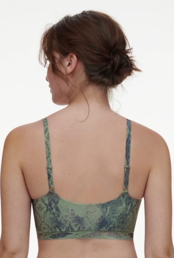 C11d20 - Soft - Python – Image 2