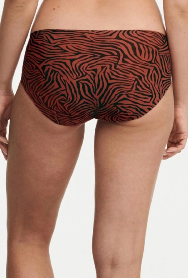 C11d40 - Soft - Safari Chic – Image 3