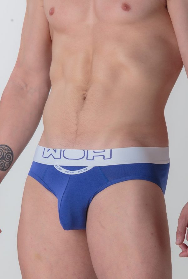 463011 - Sexy Fun - Bleu