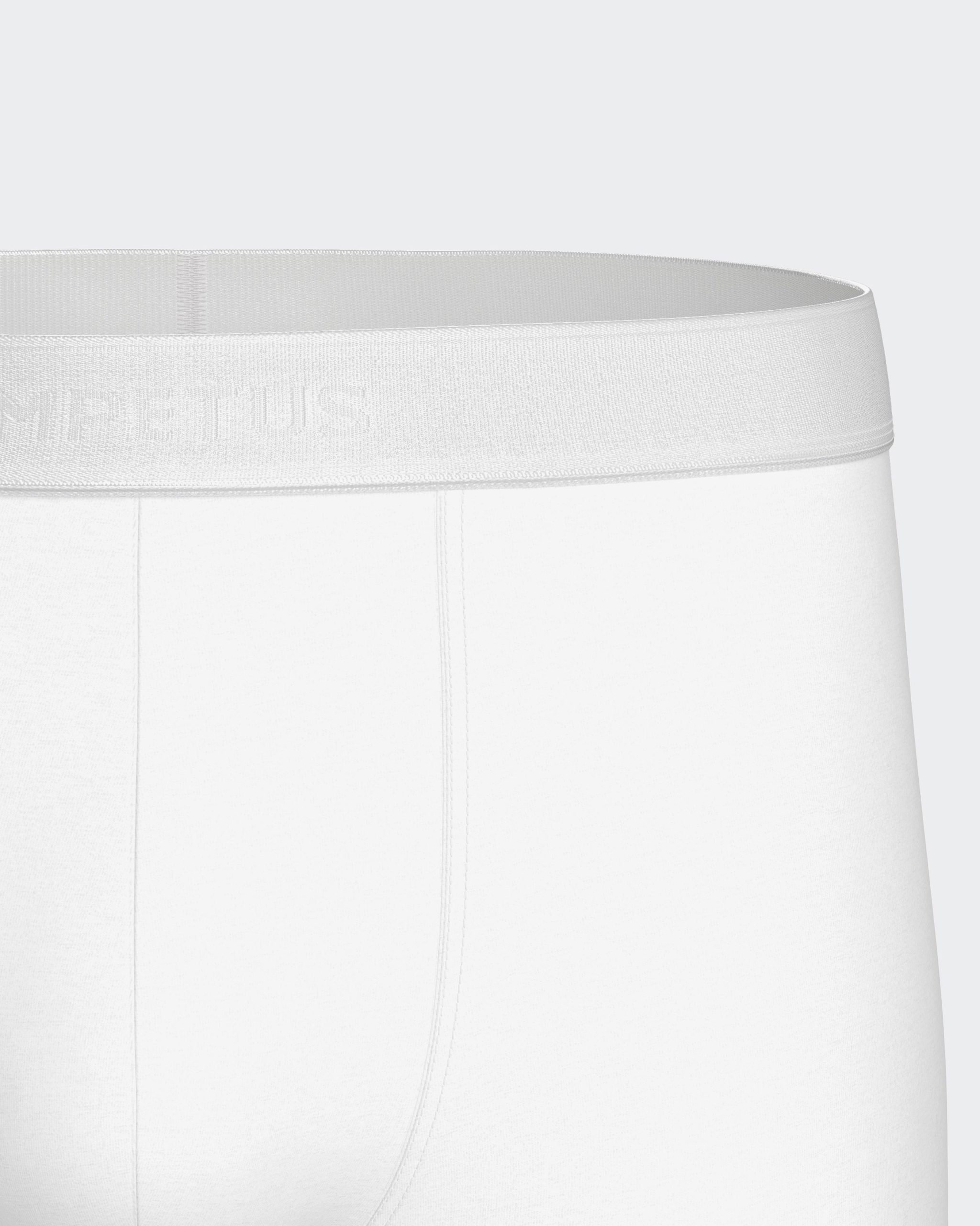 1240b45 - New Cotton Premium - Blanc – Image 3