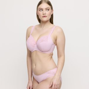 0163530 - Salerno - Spring Rose