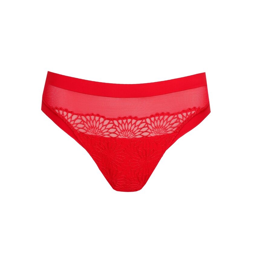 0563180 - Sophora - True Red – Image 3