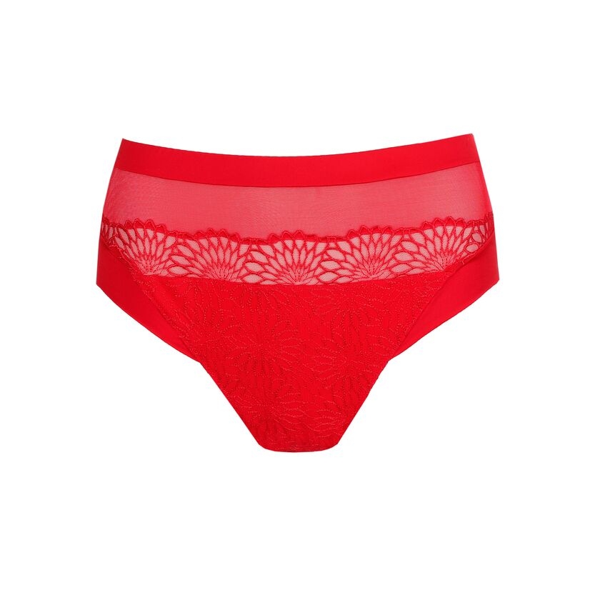 0563181 - Sophora - Rouge – Image 4